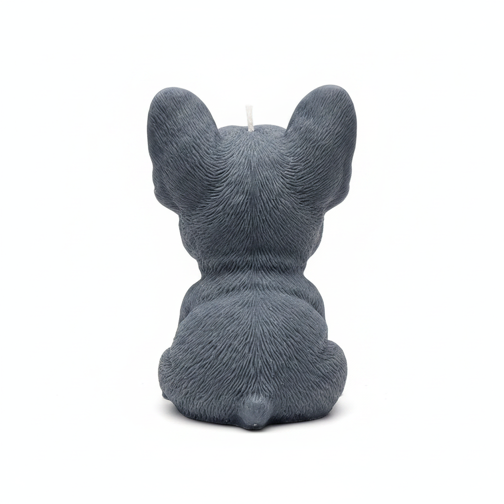 Frenchie Rücken